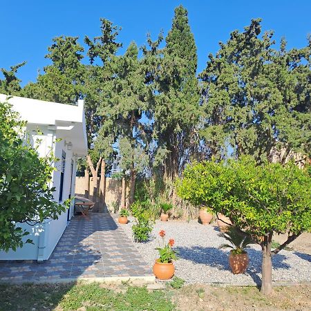 Deja Blue Villa Archangelos  Exteriör bild