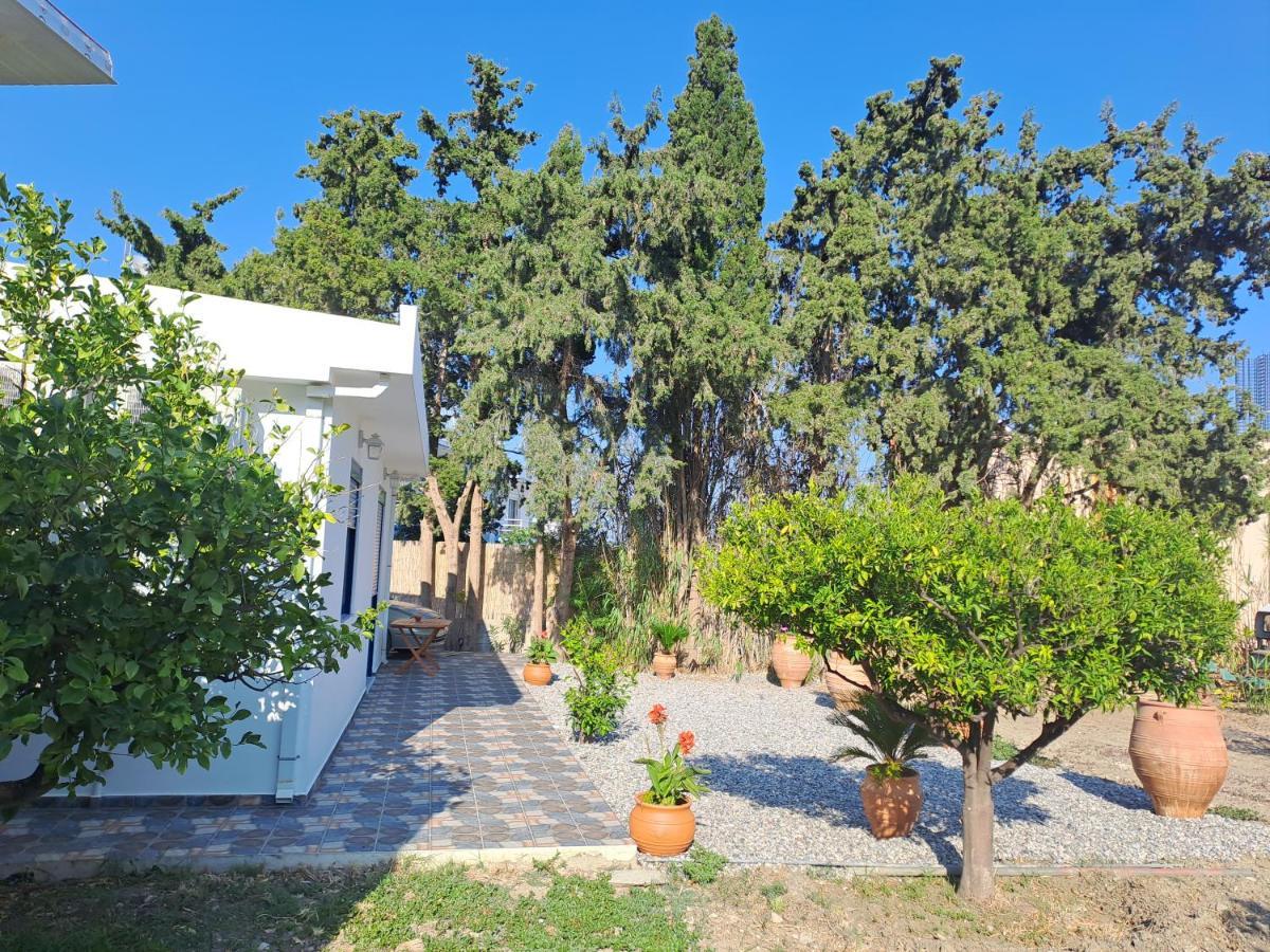 Deja Blue Villa Archangelos  Exteriör bild